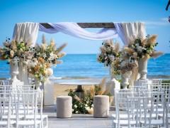 Grappolo D'Uva Ricevimenti